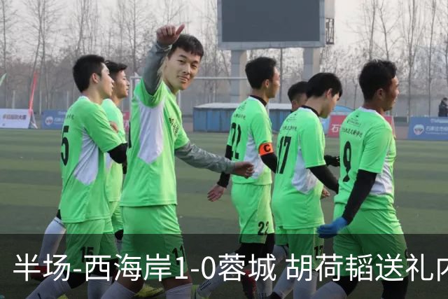 半场-西海岸1-0蓉城 胡荷韬送礼内尔松破门韦林顿进球被吹